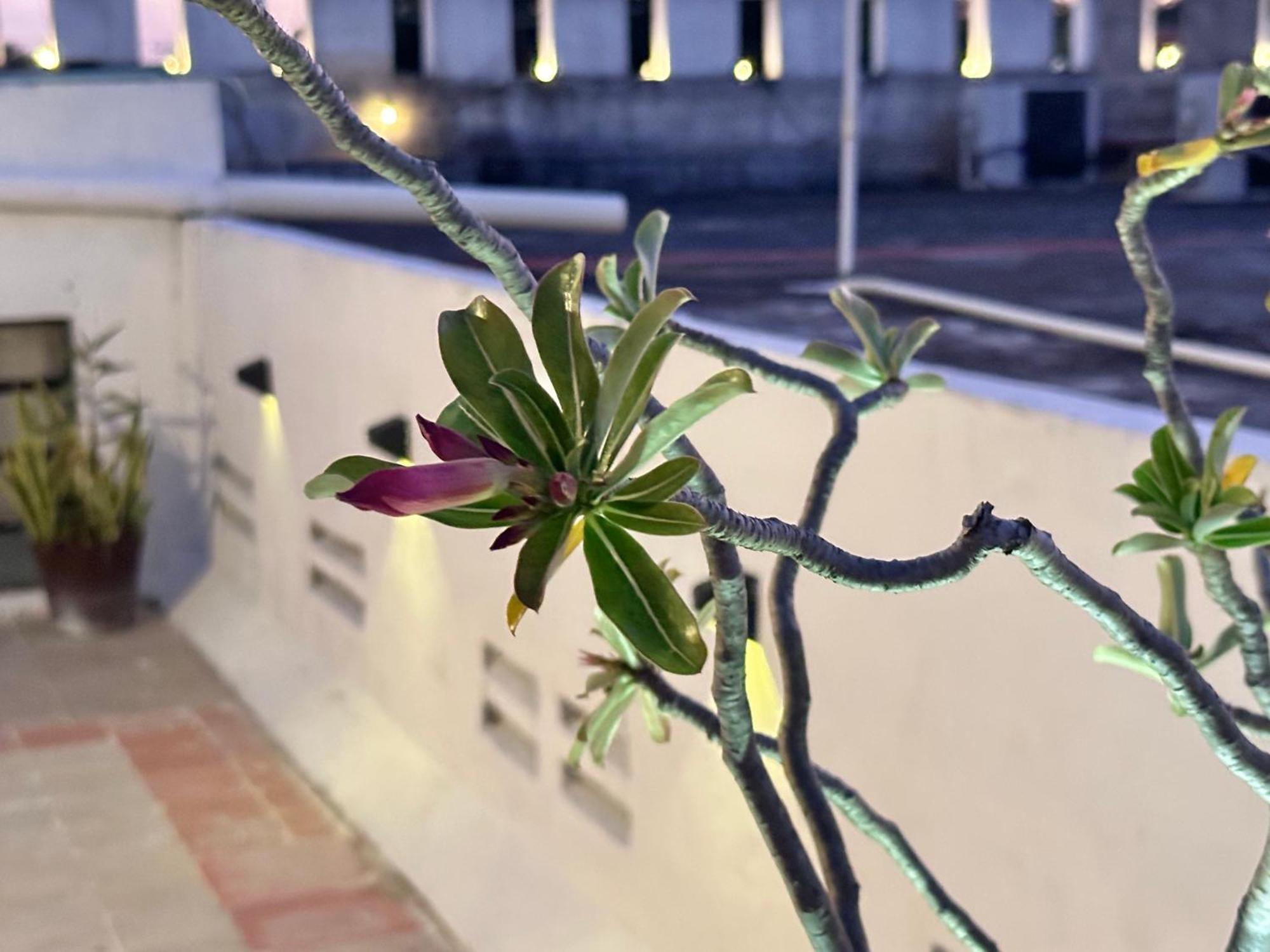 Casa Vidal Hotel バリャドリッド エクステリア 写真